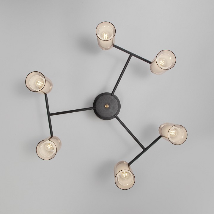 Потолочная люстра Eurosvet Amado 70115/6 черный - 1