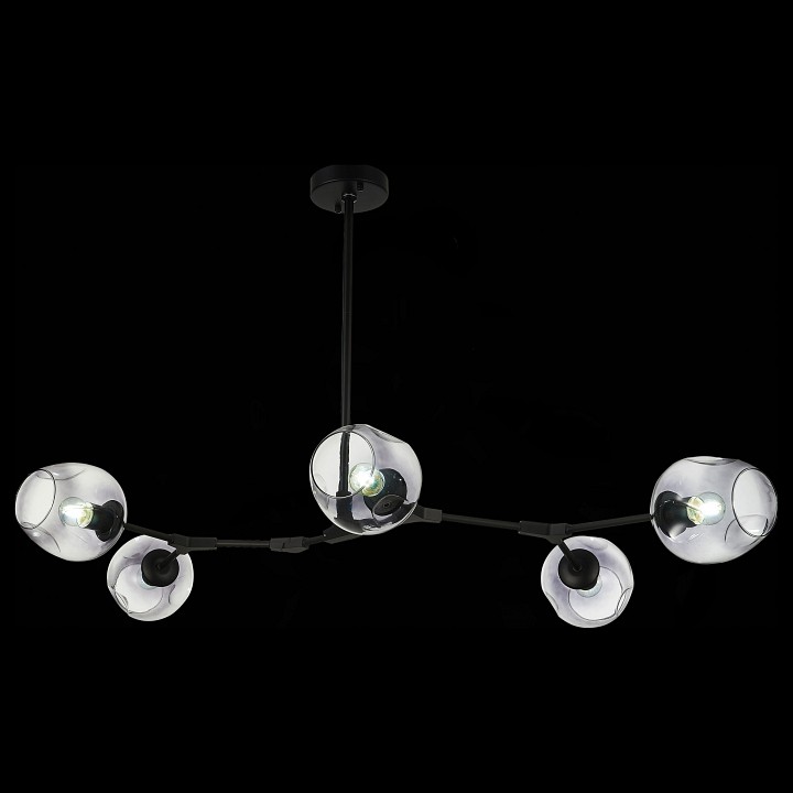 Подвесная люстра EVOLUCE Rametto SLE154843-05 - 1