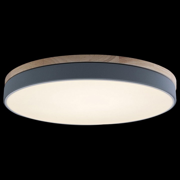 Накладной светильник Loft it Axel 10001/36 Grey - 2