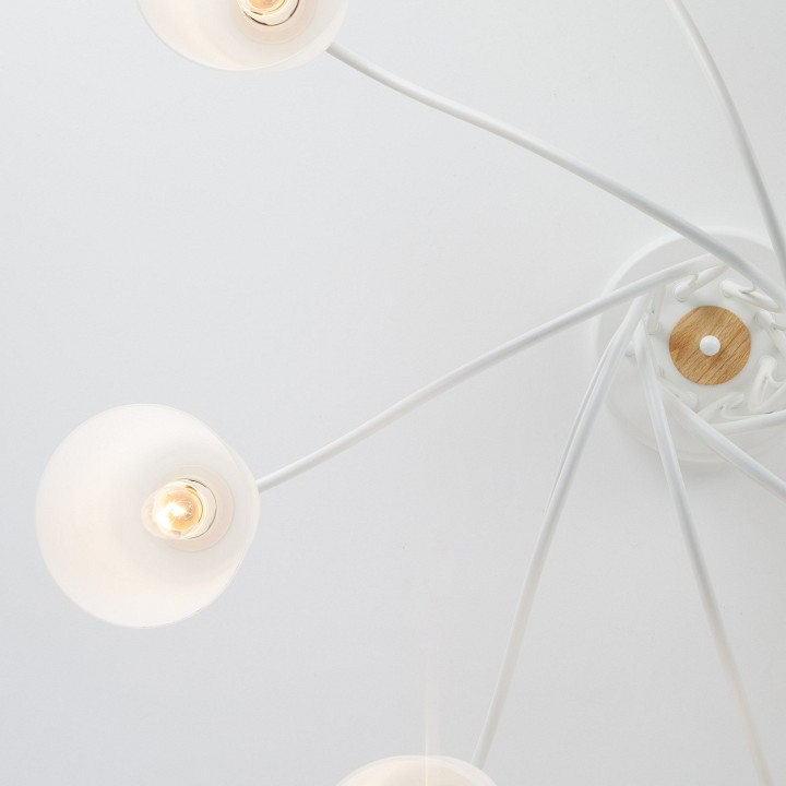 Потолочная люстра Eurosvet Betty 70062/8 белый - 0