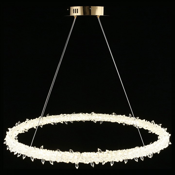 Подвесной светильник Aployt Merion APL.040.03.45 - 3