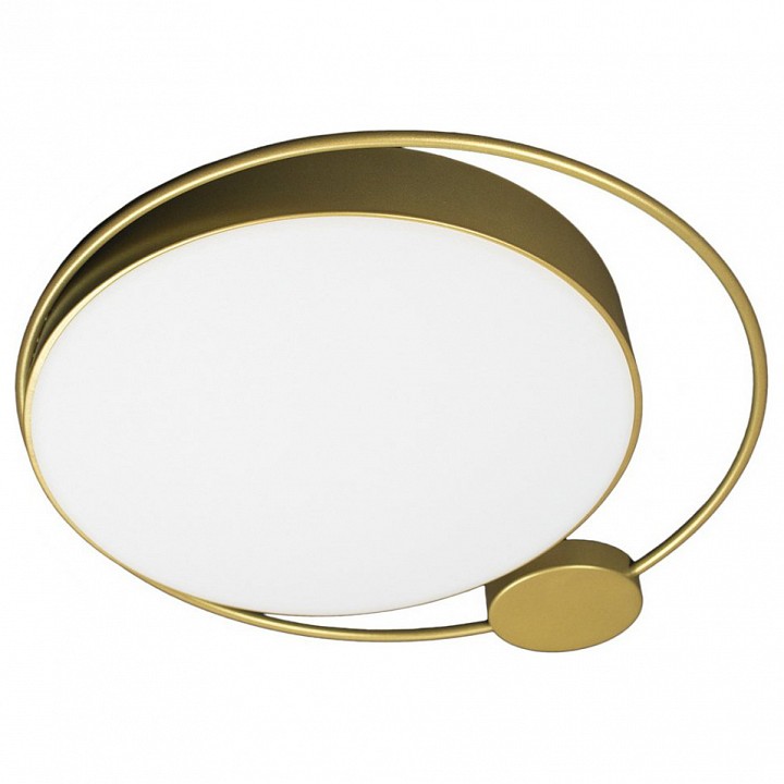 Потолочный светодиодный светильник Loft IT Mike 10063 - 0