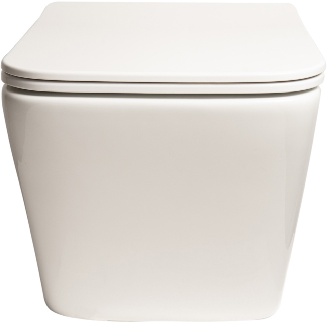 Унитаз подвесной SantiLine SL-5004SM-BD безободковый, с микролифтом - 1