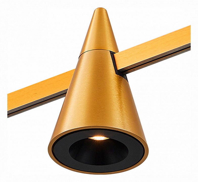 Светильник на штанге ST-Luce Farm ST813.206.05 - 4