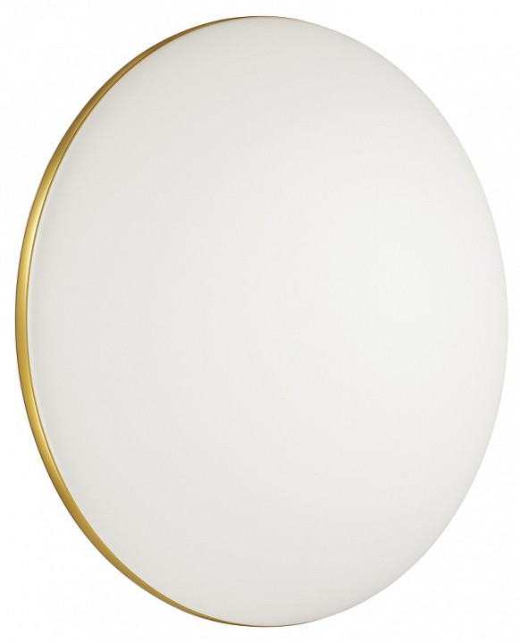 Настенно-потолочный светодиодный светильник Sonex Tan Lassa 3043/DL - 2