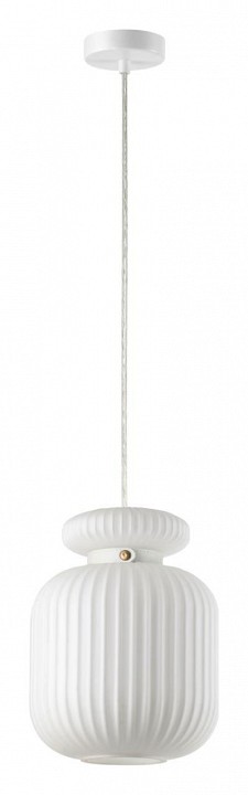 Подвесной светильник Odeon Light Jugi 5042/1C - 2