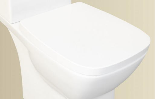 Сиденье для унитаза BelBagno Lago белый  BB128SC - 0