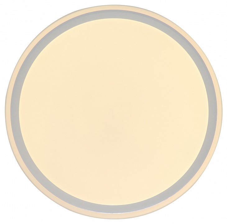 Накладной светильник Zortes BELLA ZRS.1200.07 - 1