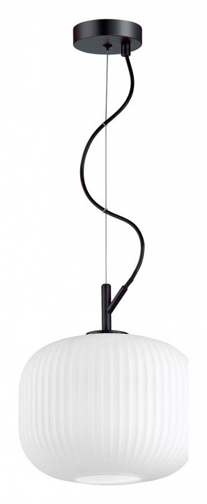 Подвесной светильник Odeon Light Pendant Roofi 4753/1 - 1