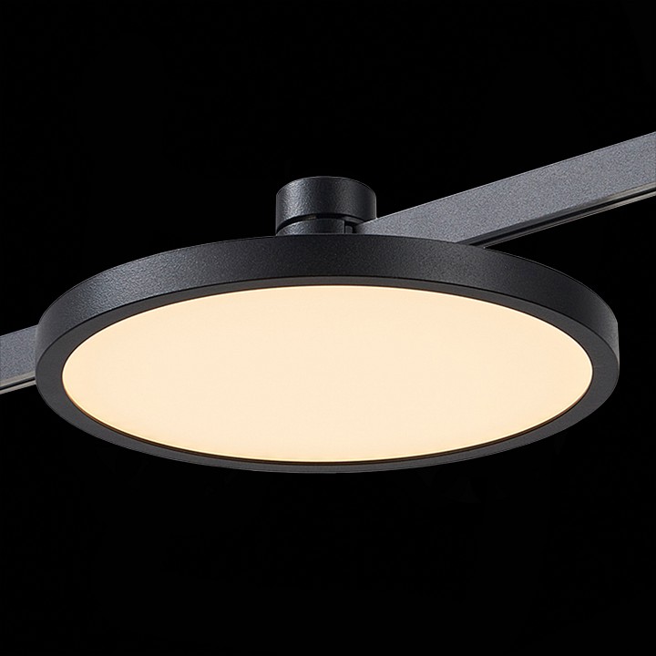 Накладной светильник ST-Luce Farm ST818.406.12 - 3