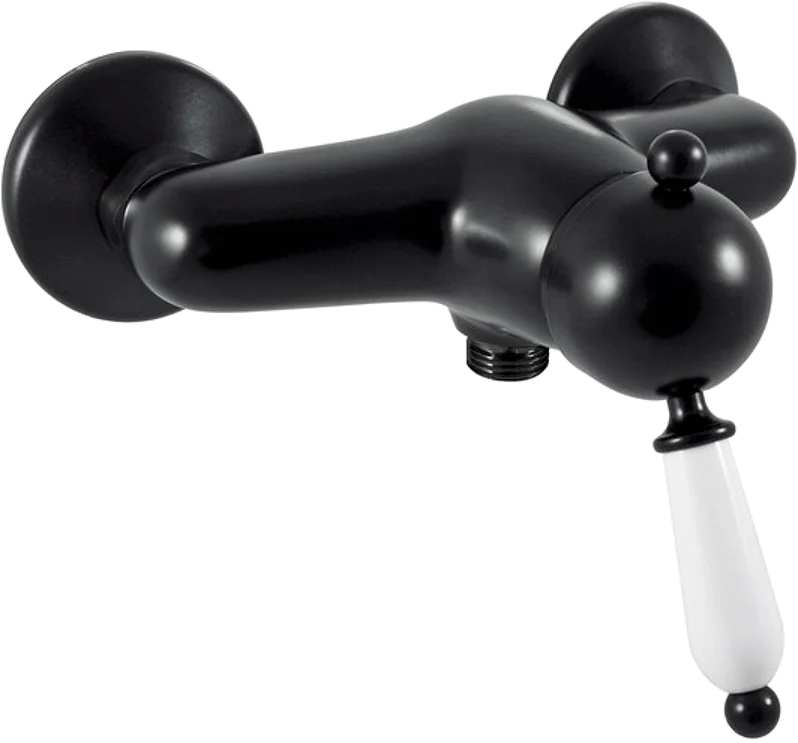 Смеситель для душа Rav Slezak Labe черный матовый L581.5CMAT - 0