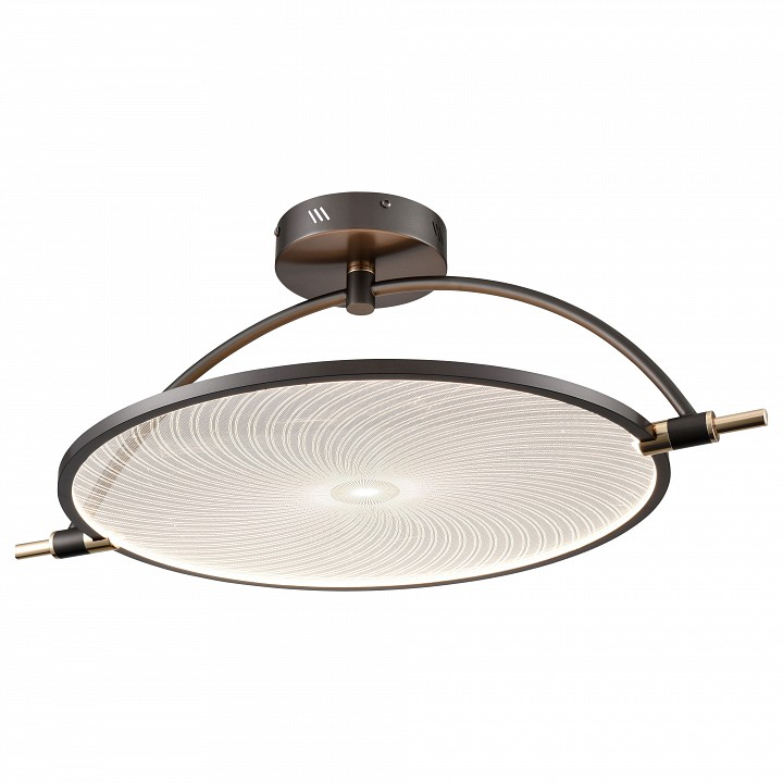 Светильник на штанге Wertmark Laura WE430.03.027 - 0