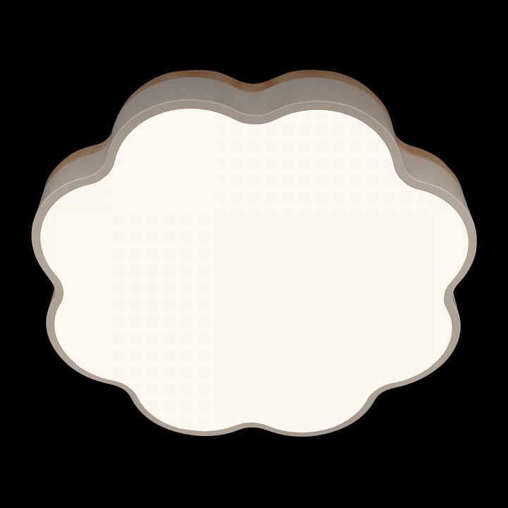 Накладной светильник Loft it Axel 10225/36 White - 6