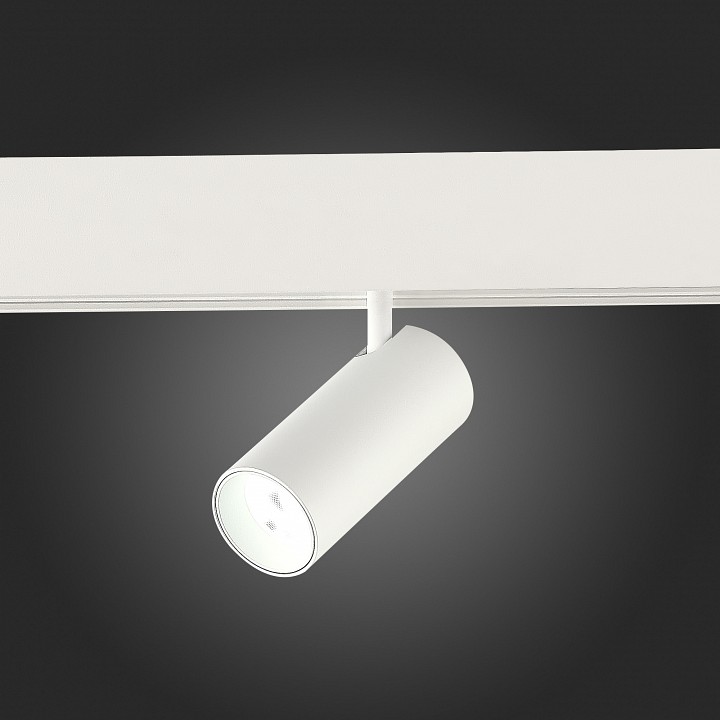 Светильник на штанге ST-Luce ST375 ST375.506.07 - 3