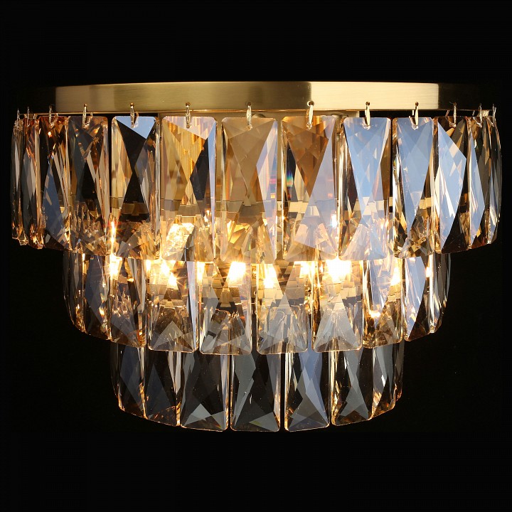 Накладной светильник Aployt Francheska APL.837.01.02 - 1