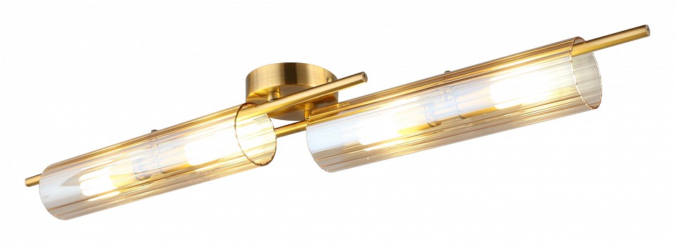 Накладной светильник Aployt Lusia APL.315.07.04 - 0