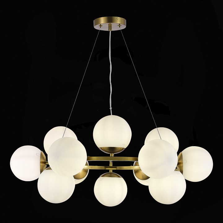 Подвесная люстра EVOLUCE Fratta SLE1191-203-12 - 3