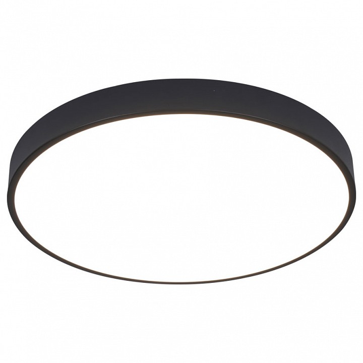 Потолочный светодиодный светильник Arte Lamp Arena A2672PL-1BK - 0