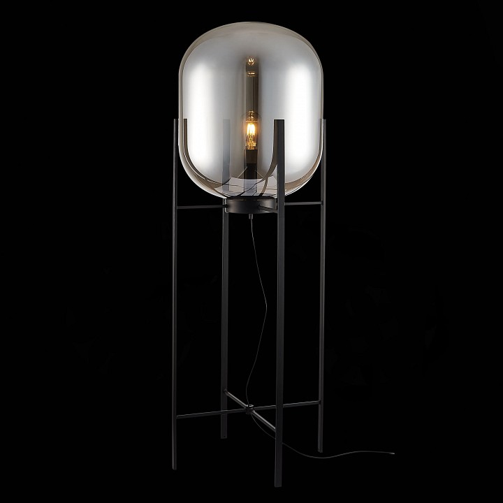 Торшер ST-Luce Burasca SL1050.725.01 - 3