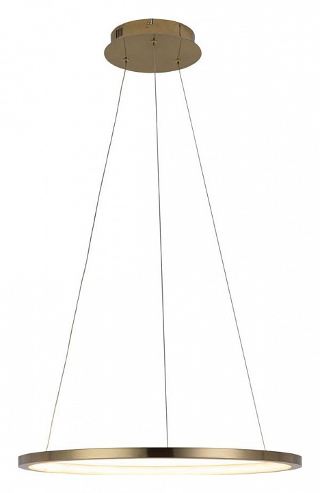 Подвесной светодиодный светильник Loft IT Ring 10014M - 2