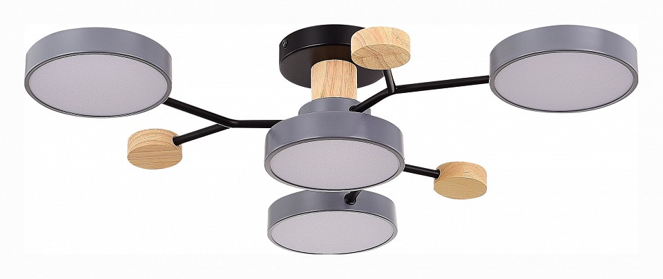 Потолочная люстра EVOLUCE Faema SLE6006-702-04 - 0