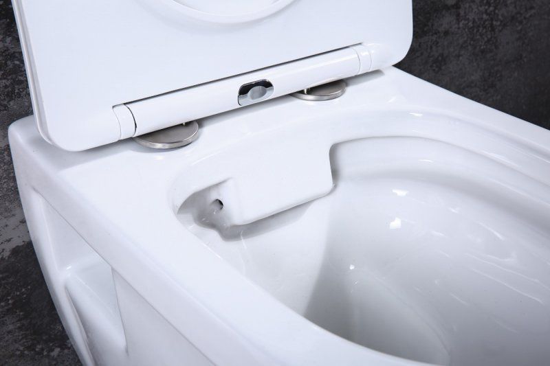 Сиденье для унитаза BelBagno Loto белый  BB070SC - 5