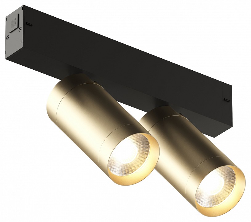 Трековый светодиодный светильник Denkirs Smart Spot DK8012-BG - 0