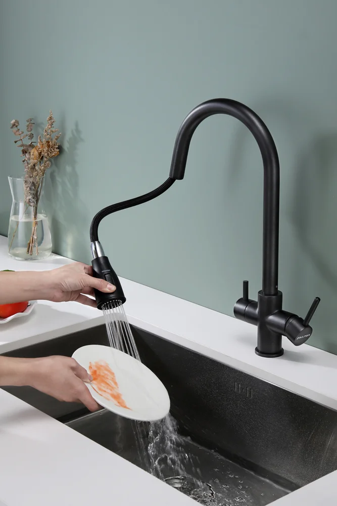 Смеситель для кухни Paulmark Lange черный матовый La214212-418 - 3