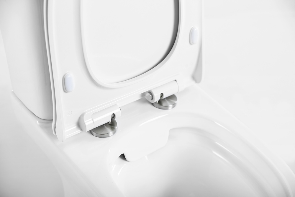 Чаша для унитаза-компакта BelBagno Steam  BB130CPR - 6