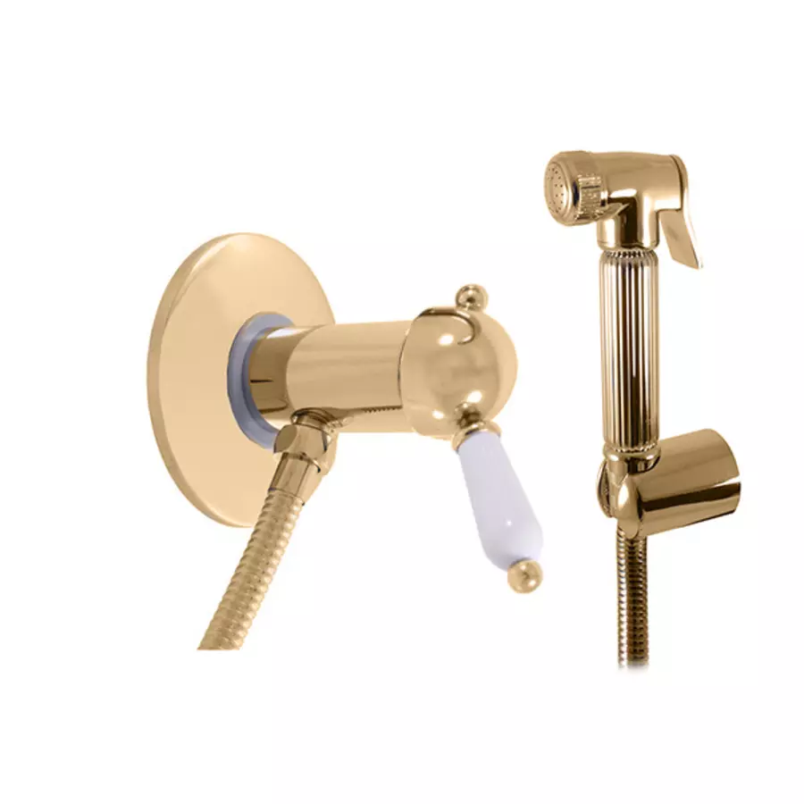 Гигиенический душ Rav-Slezak Labe со смесителем золото L547/1Z - 0