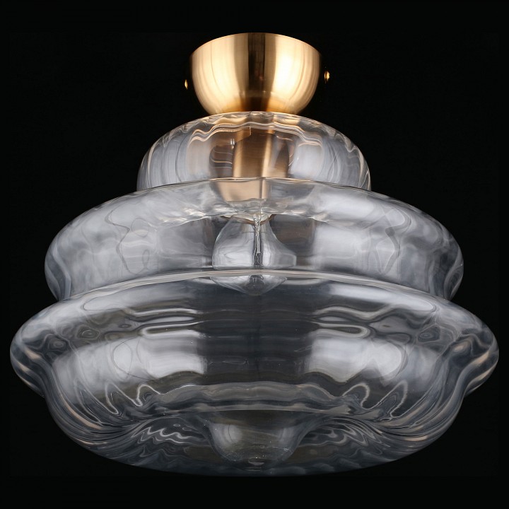 Накладной светильник Aployt Liana APL.303.07.01 - 1