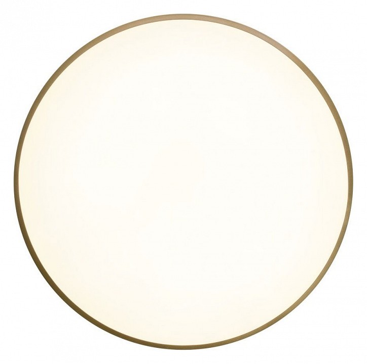 Накладной светильник Zortes Gabby ZRS.90610.50 - 1