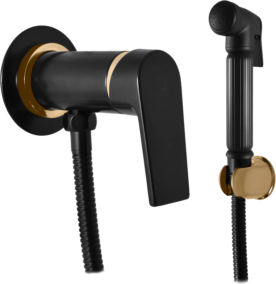 Гигиенический душ Rav Slezak Colorado черный матовый - золото CO147/1CMATZ - 0
