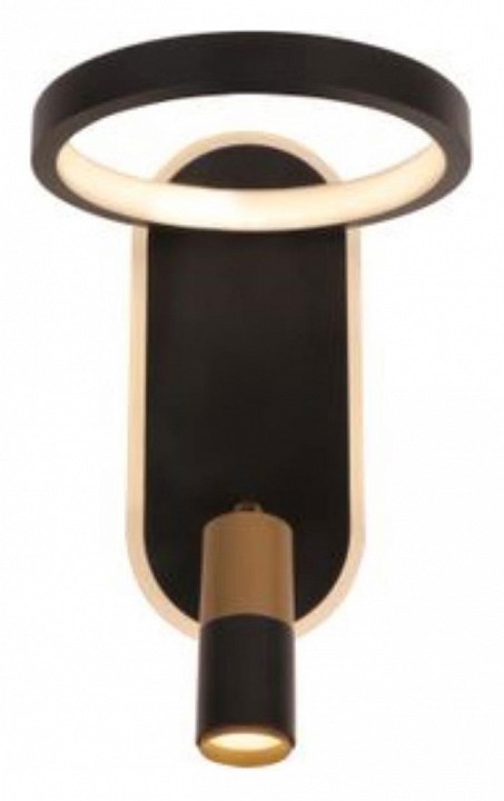 Бра с подсветкой Arte Lamp Toliman A2613AP-2BK - 0