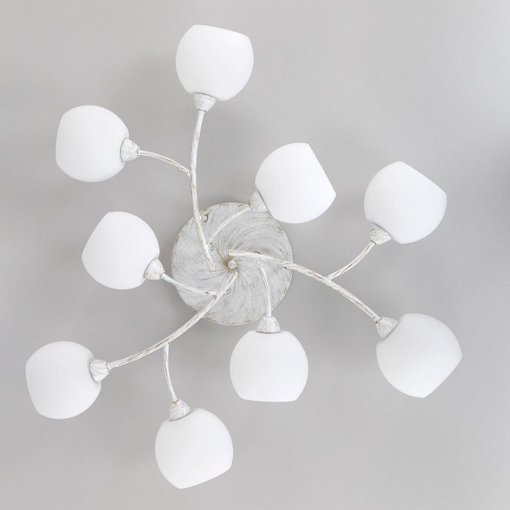 Потолочная люстра Citilux Флорида CL148190 - 6