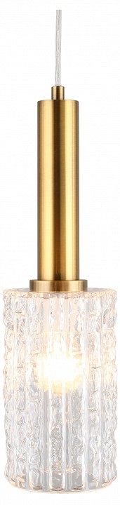 Подвесной светильник Aployt Henrite APL.310.06.01 - 0