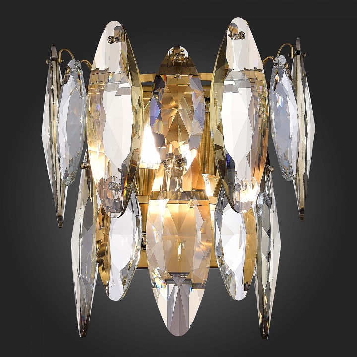 Накладной светильник ST-Luce Ancona SL1227.301.02 - 2