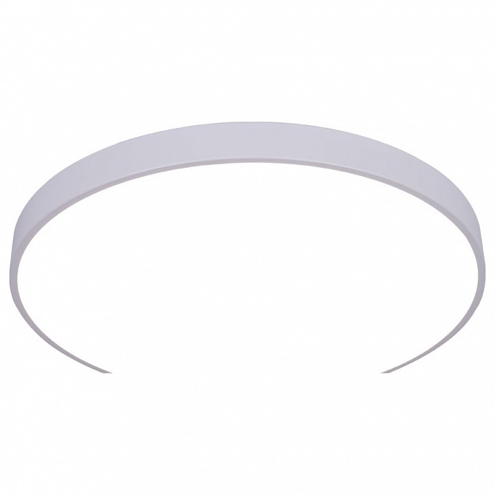 Потолочный светодиодный светильник Arte Lamp Arena A2671PL-1WH - 0