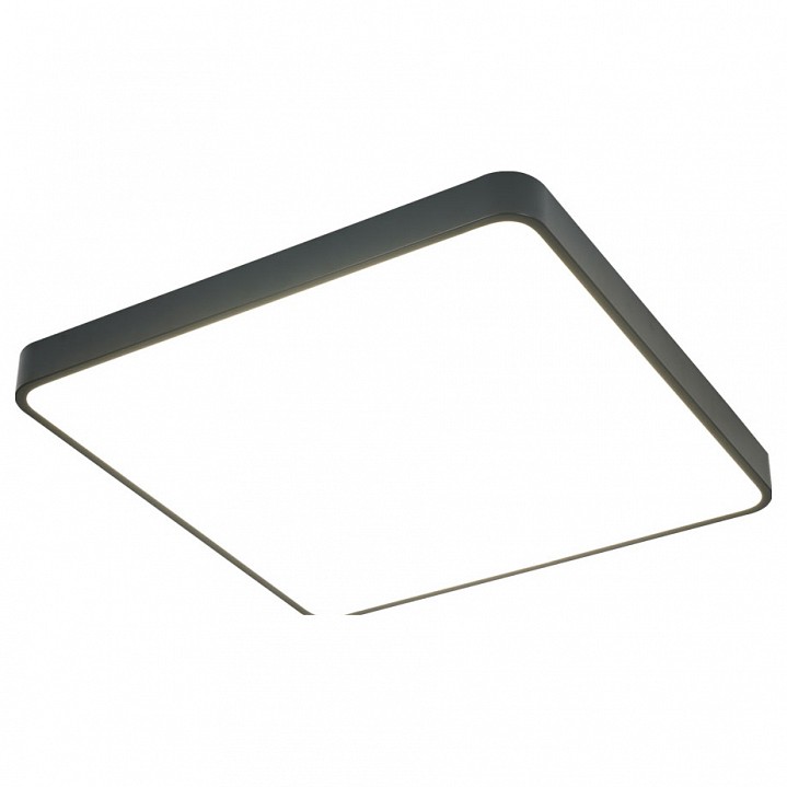 Потолочный светодиодный светильник Arte Lamp Scena A2669PL-1BK - 0