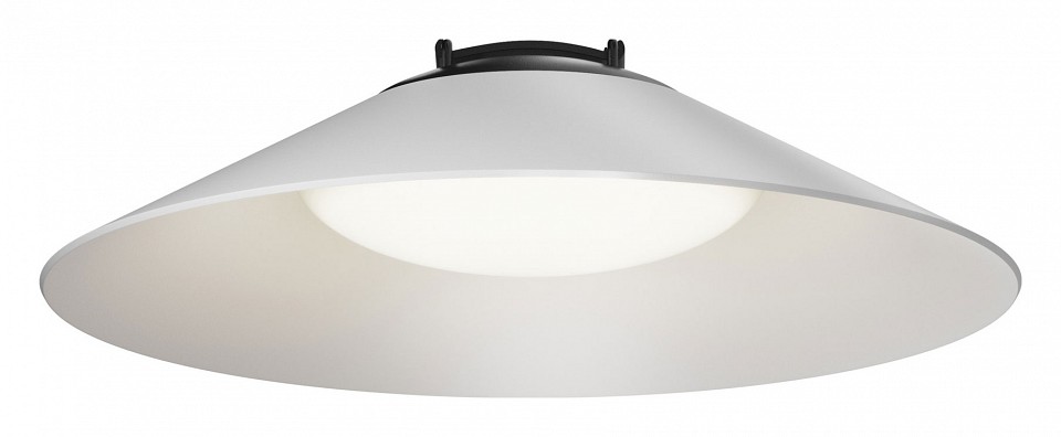 Подвесной светильник Maytoni Campana TR127B-12W4K-W - 0