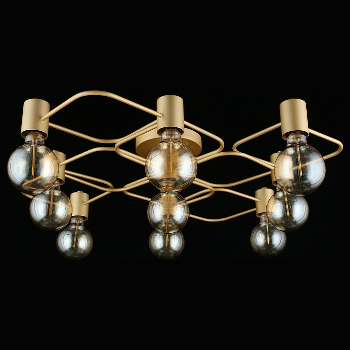 Потолочная люстра Aployt Elison APL.911.07.09 - 10