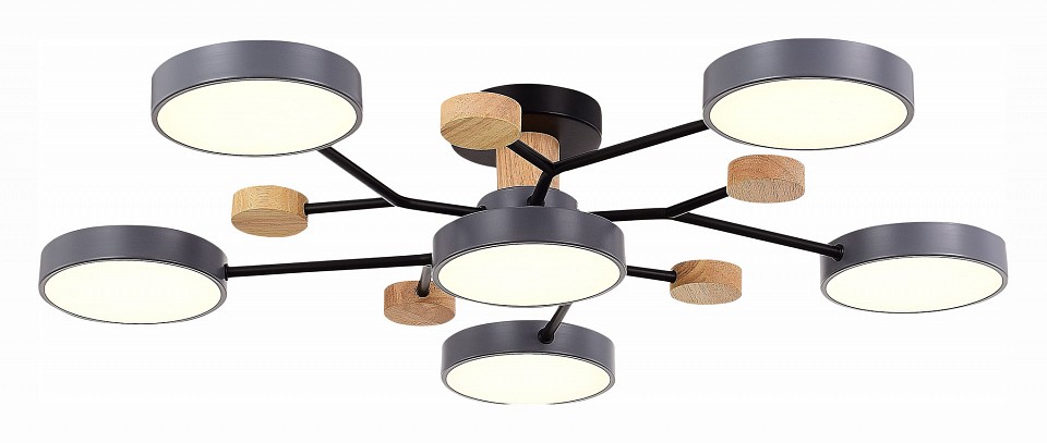 Потолочная люстра EVOLUCE Faema SLE6006-702-06 - 2