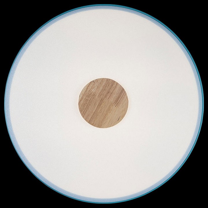 Накладной светильник Loft it Axel 2 10003/24 Blue - 5