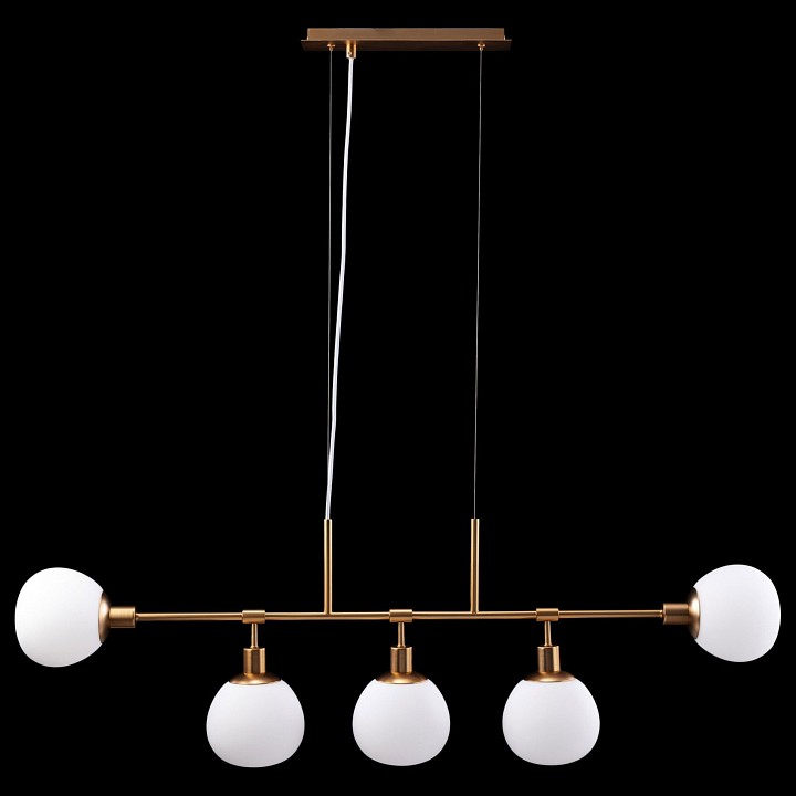 Подвесная люстра Maytoni Erich MOD221-PL-05-G - 2