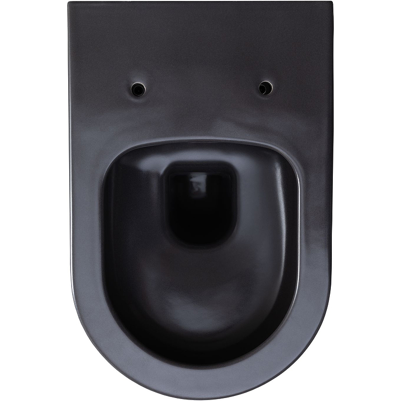 Чаша для подвесного унитаза Allen Brau Priority без сиденья антрацит  4.31001.AN - 2