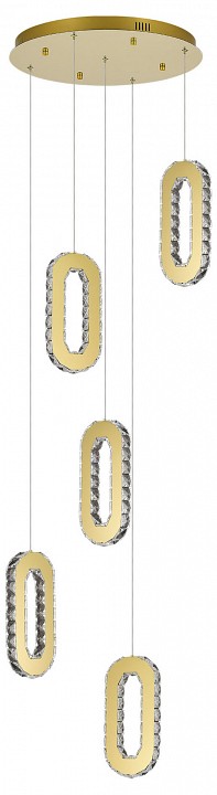 Подвесная люстра ST-Luce Allungo SL6506.203.05 - 0