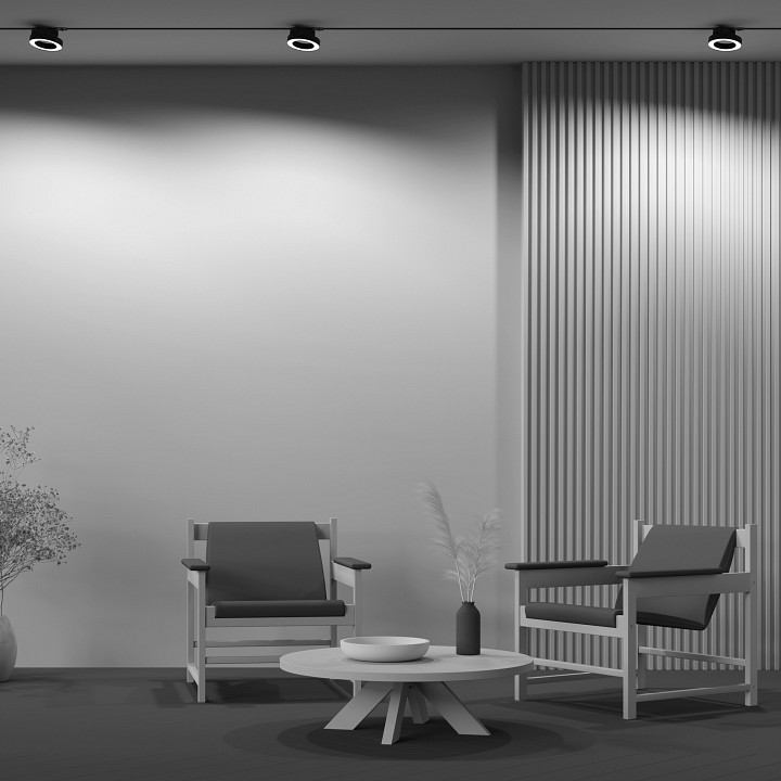 Светильник на штанге Maytoni Rim TR044-1-12W3K-B - 3