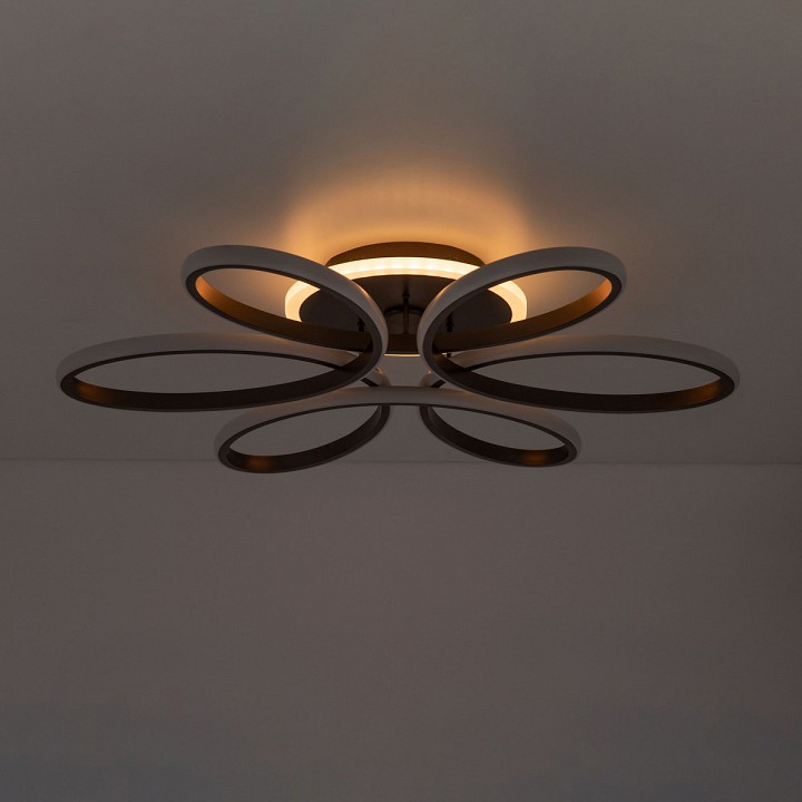 Потолочная светодиодная люстра Citilux Сезар Смарт CL233A175E - 2