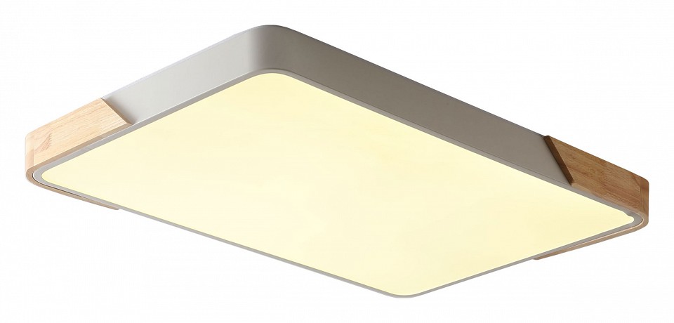 Накладной светильник Zortes ALBERRO ZRS.01233.60 - 1