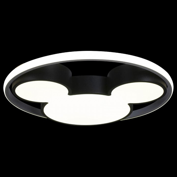 Потолочный светодиодный светильник Loft IT Mike 10165 - 3